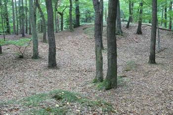  ( © Petr Turyna 09/2006)