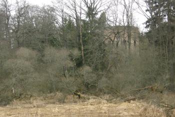 První pohled na Svatého Jana (© Michal Pavlík, 03/2009)