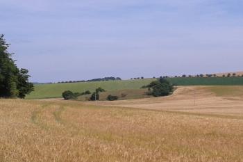 PP Kozí horka ( © Ivo Rozehnal 07/2016)