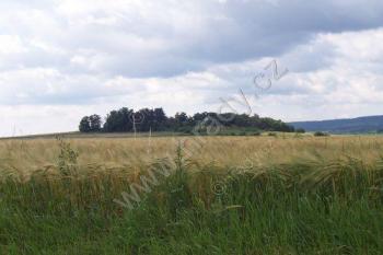 PP Hrnčířka (© Ivo Rozehnal, 06/2007)