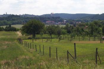 PP Pavlečkova skála - Pohled z Pavlečkovy skály na Plumlov. Uprostřed zámek a vlevo kostel. (© Ivo Rozehnal, 07/2007)