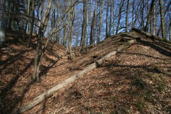 První příkop (© Petr Nožička 03/2011)