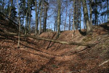 Vnitřní příkop (© Petr Nožička 03/2011)