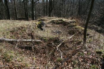Pohled na jádro hradu (© Petr Nožička 03/2011)