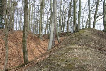 vnější val s příkopem,oddělující vlastní hrad od předpolí (© D Dohňanský, 04/2015)