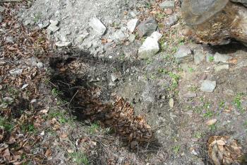 úplně čerstvý amatérský výkop (© D Dohňanský, 04/2015)