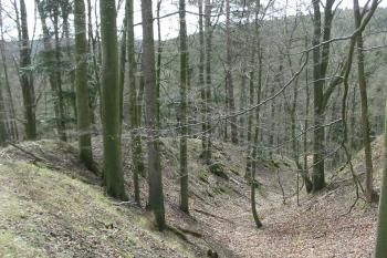 okružní příkop na jihu (© D Dohňanský, 04/2015)