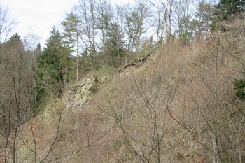 pohled na záp. stěnu hradního kopce (© D Dohňanský, 04/2015)