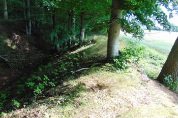 Vých. val oddělující předpolí /vpravo/ od předhradí /vlevo/ (© Dušan Dohňanský  07/2021)