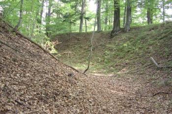 Okružní příkop jádra (© Jan Laurin, 07/2007)