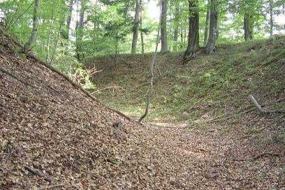 Líšnice