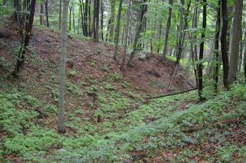 Okružní příkop jádra (© Jan Laurin, 07/2007)