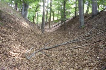 Příkop oddělující hrad od polí (© Jan Laurin, 07/2007)