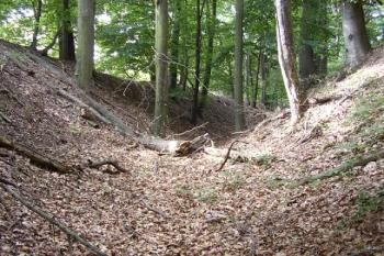 Příkop oddělující hrad od polí (© Jan Laurin, 07/2007)