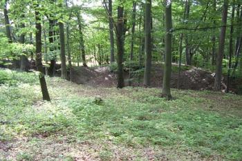 Pohled od předhradí ke druhému příkopu (© Jan Laurin, 07/2007)