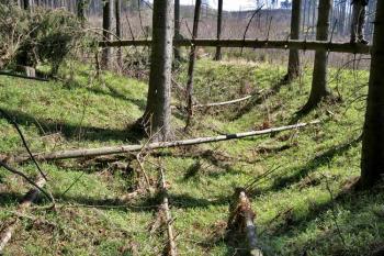První příkop ( © Luděk Pitter 04/2007)