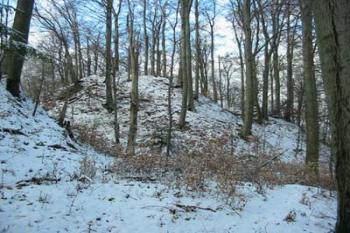 Velešov (© Puffin Puffin 01/2004)