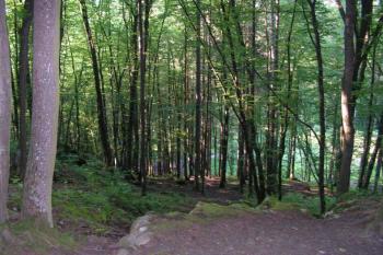 Jeskyně Pekárna. (© Michal Kiesel, 11/2007)