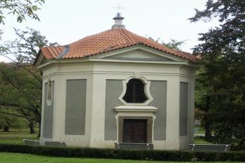 čelní pohled ( © Milan Caha 11/2007)