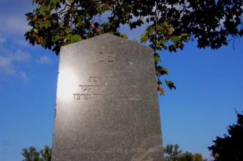 detail ( © Ondřej Štěpánek a Zuzana Krybusová 09/2007)