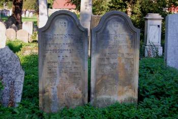 tichá dvojice ( © Ondřej Štěpánek a Zuzana Krybusová 09/2007)