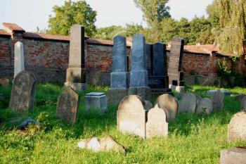 náhrobky při severní hřbitovní zdi ( © Ondřej Štěpánek a Zuzana Krybusová 09/2007)