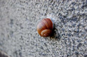 v souznění s přírodou ( © Ondřej Štěpánek a Zuzana Krybusová 09/2007)