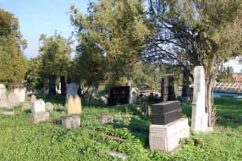 panoramatický pohled od vstupu z Olomoucké ulice ( © Ondřej Štěpánek a Zuzana Krybusová 09/2007)