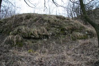 Zbytek z druhého pásma opevnění ( © Petr Nožička 02/2011)