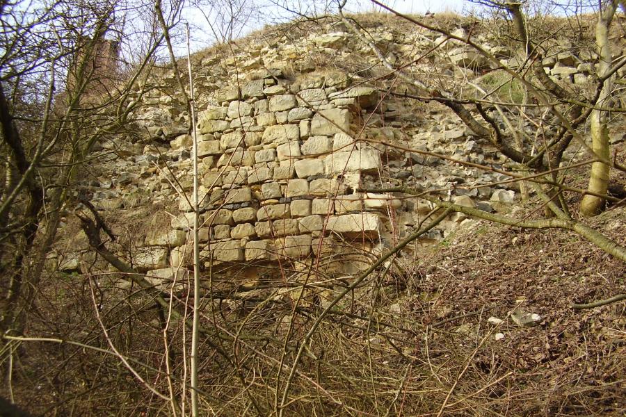 Veliš