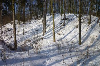 Přístupová cesta do hradu vedla přes příkop na jižní straně. (© MICHAL VAŠATA, 01/2010)