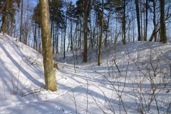 Příkop a val na východní straně (© MICHAL VAŠATA, 01/2010)