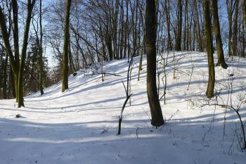 Spirálovitě obíhající parkán je ukončen na jižní straně ,vpravo jádro. (© MICHAL VAŠATA, 01/2010)