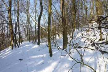 Parkán na jihozápadní straně,tudy se chodilo na hrad. (© MICHAL VAŠATA, 01/2010)