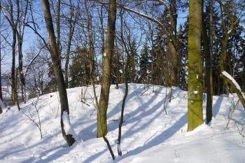 Mohutný  val na západní straně parkánu. (© MICHAL VAŠATA, 01/2010)