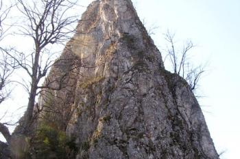 pohled ze západního upatího skály zvané Straka s hradem Lednica na východní ukončení Lednického bradla ( © Jan P. Štěpánek 02/2008)