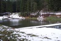 Bedřichův klaus