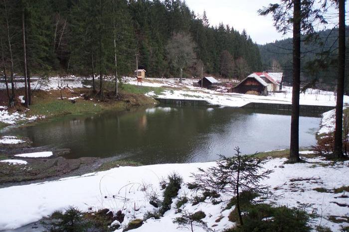 Bedřichův klaus