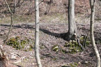 nasucho kladené kamení pod cestou do Lubna, které snad může souviset s někdejším plavebním kanálem ( © Jan P. Štěpánek 03/2011)