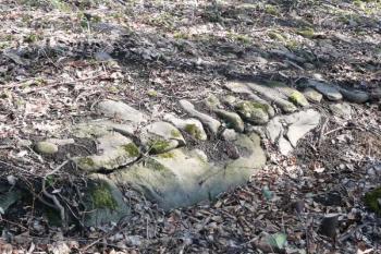 zajímavý úsek loženého kamení nedaleko splavu a počátku plavebního kanálu ( © Jan P. Štěpánek 03/2011)