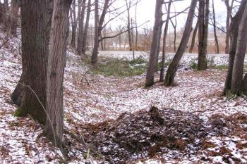 Začátek bývalého plavebního kanálu na rozhraní Pržna a Lubna ( © Jan P. Štěpánek 11/2007)