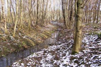 Před vtokem do Bystrého potoka mění bývalý plavební kanál několikrát svůj směr ( © Jan P. Štěpánek 11/2007)