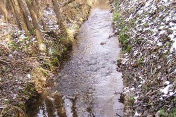 bývalý plavební kanál před vtokem do Bystrého potoka ( © Jan P. Štěpánek 11/2007)