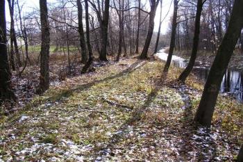 pravděpodobné místo tzv. Janovických hrablí (Janowitz Rochen) ( © Jan P. Štěpánek 11/2007)