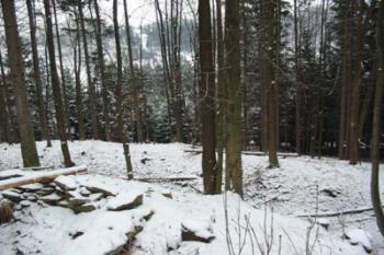 Vlčinec - val (2003 ©Puffin Puffin)