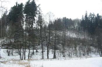 Vlčinec - hradní kopec (2003 ©Puffin Puffin)