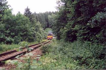 Pod hradem Vlčinec (© Vlky, Jirka Čížek)