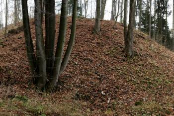 Bývalý hradní příkop od jihu (© Ludek Kejzlar, 12/2008)