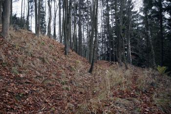  ( © Iva Spurná 15.11.2008)