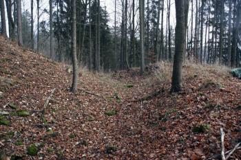  ( © Iva Spurná 15.11.2008)